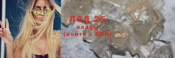 PSILOCYBIN Алзамай