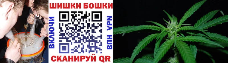 Шишки марихуана план  магазин продажи   Брянск 